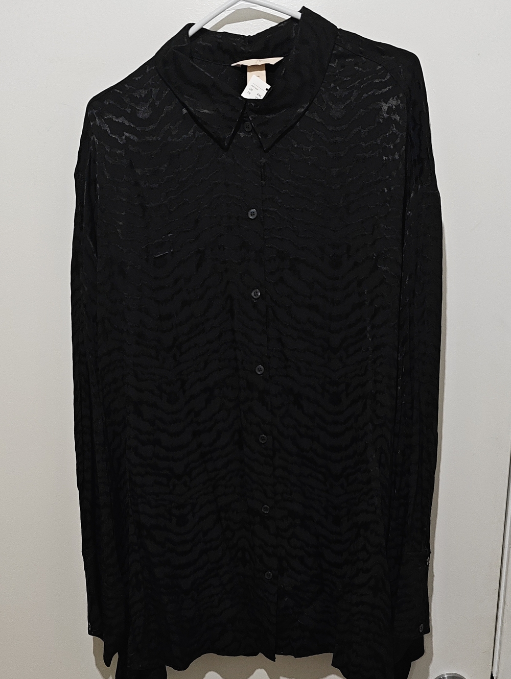 H&M Black Sheer Button-Down Blouse